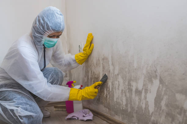 Best Bathroom Mold Remediation in Great River, NY